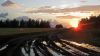 IMG_3419_1600.jpg